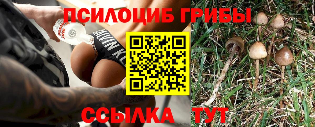 Галлюциногенные грибы Magic Shrooms  Вход с VPN  Тимашёвск 